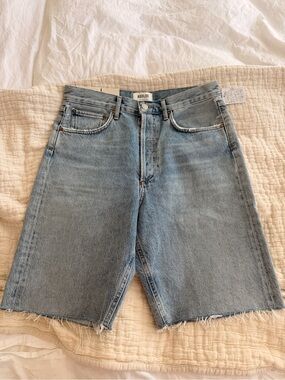 Agolde 90s Riptide Mid Rise Loose Denim Short